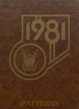 Streamwood High School 1981 yearbook cover photo