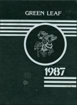 1987 Mt. Pleasant High School Yearbook from Wilmington, Delaware cover image