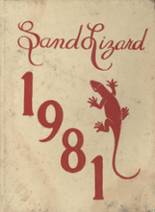 Dardanelle High School 1981 yearbook cover photo