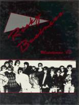 Lexington High School 1987 yearbook cover photo