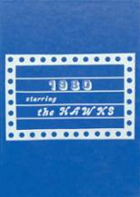 1980 Plainview High School Yearbook from Sheridan, Colorado cover image