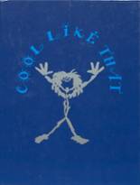 Hilton Head High School 1996 yearbook cover photo