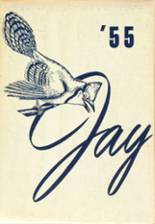Ravenna High School 1955 yearbook cover photo
