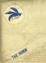 Hudson High School 1955 yearbook cover photo