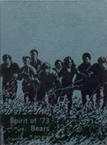 Marion High School 1973 yearbook cover photo