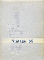 Ripley Central School 1965 yearbook cover photo