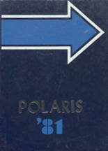 1981 North Star High School Yearbook from Boswell, Pennsylvania cover image