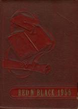 1955 Riceville High School Yearbook from Riceville, Iowa cover image