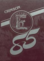 1985 Edgerton High School Yearbook from Edgerton, Wisconsin cover image