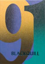 1991 Blackduck High School Yearbook from Blackduck, Minnesota cover image