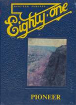 Negaunee High School 1981 yearbook cover photo