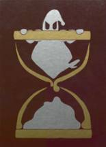 2006 Illinois Valley Central High School Yearbook from Chillicothe, Illinois cover image