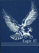 1987 Cosby High School Yearbook from Cosby, Tennessee cover image