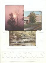 Afton Central School 1980 yearbook cover photo