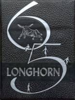 1965 Dover High School Yearbook from Dover, Oklahoma cover image