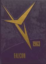 1963 Danube High School Yearbook from Danube, Minnesota cover image