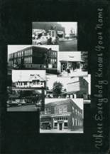 2001 New Knoxville High School Yearbook from New knoxville, Ohio cover image