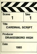 Drakesboro Consolidated High School 1985 yearbook cover photo