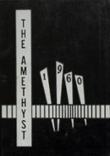 Fayetteville High School (East Campus) 1960 yearbook cover photo