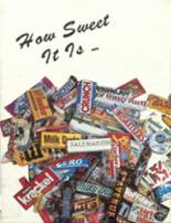 Salem Community High School 1986 yearbook cover photo