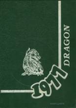Pine City High School 1977 yearbook cover photo