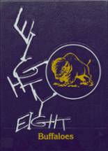 Georgetown-Ridge Farm High School 1988 yearbook cover photo