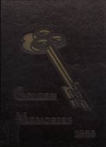 1965 Decatur High School Yearbook from Decatur, Alabama cover image