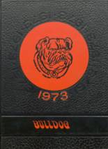 Lexington High School 1973 yearbook cover photo