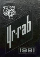1981 Barry High School Yearbook from Barry, Illinois cover image