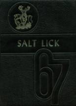 Salisbury-Elk Lick High School 1967 yearbook cover photo