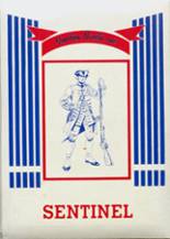 1991 Massac County High School Yearbook from Metropolis, Illinois cover image