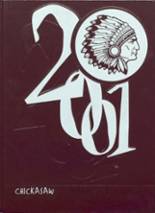 Blytheville High School 2001 yearbook cover photo
