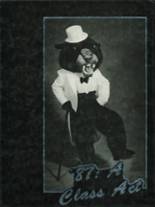 Camden High School (thru 1991) 1987 yearbook cover photo