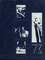 1973 Sussex Central High School Yearbook from Georgetown, Delaware cover image