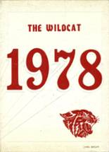 Henry County High School 1978 yearbook cover photo