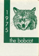 Hempstead High School 1975 yearbook cover photo