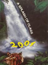 Central High School 2001 yearbook cover photo