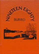 Lanesboro High School 1980 yearbook cover photo
