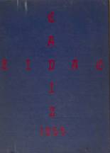 1996 Northeast High School Yearbook from St. petersburg, Florida cover image