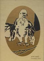 1975 Pine Eagle High School Yearbook from Halfway, Oregon cover image