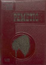 Pemetic High School 1965 yearbook cover photo