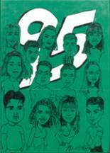 Ashton High School 1995 yearbook cover photo