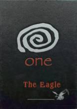 2001 Douglas High School Yearbook from Douglas, Alabama cover image