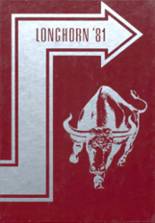 Dover High School 1981 yearbook cover photo