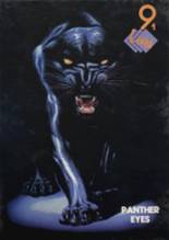 1991 Ashdown High School Yearbook from Ashdown, Arkansas cover image