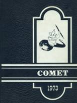 1973 Assumption High School Yearbook from Assumption, Illinois cover image