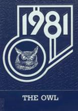 1981 Madawaska High School Yearbook from Madawaska, Maine cover image