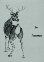 Deer Creek High School 1999 yearbook cover photo