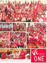 Saranac High School 2017 yearbook cover photo