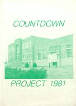 Fayetteville High School 1981 yearbook cover photo